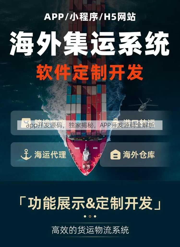 app开发源码