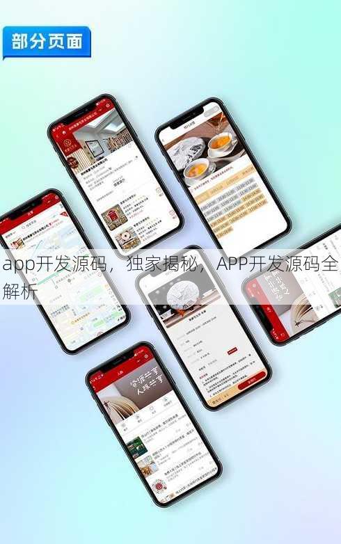 app开发源码，独家揭秘，APP开发源码全解析