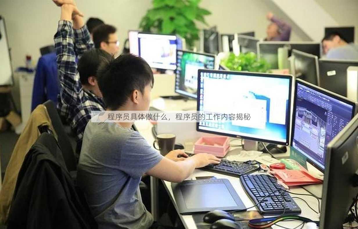 程序员具体做什么