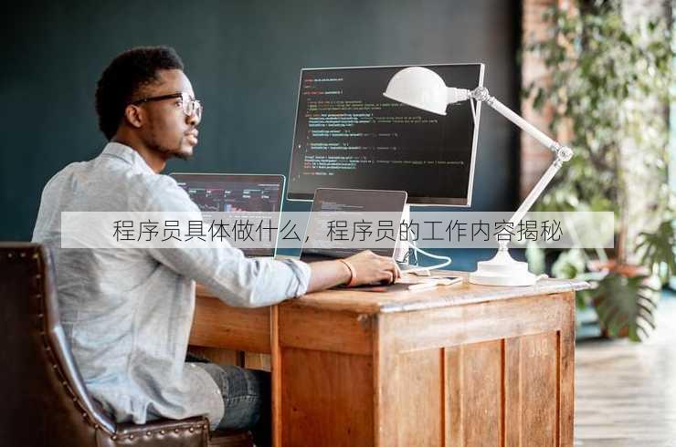 程序员具体做什么