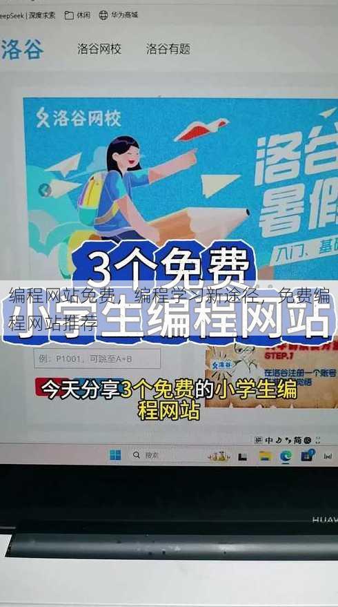 编程网站免费