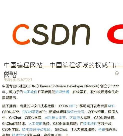 中国编程网站