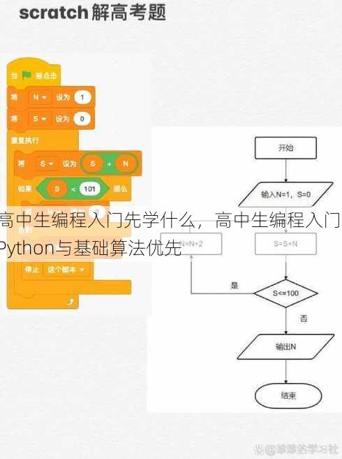 高中生编程入门先学什么