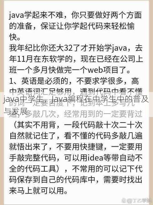 java中学生，Java编程在中学生中的普及与发展