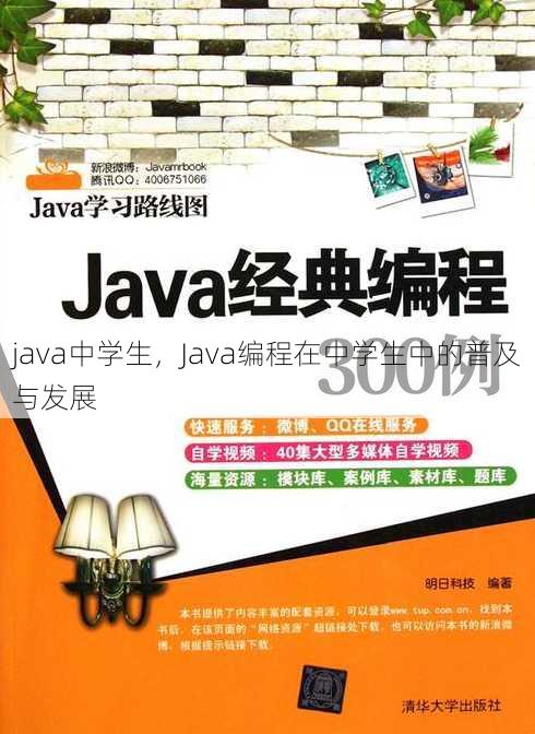 java中学生