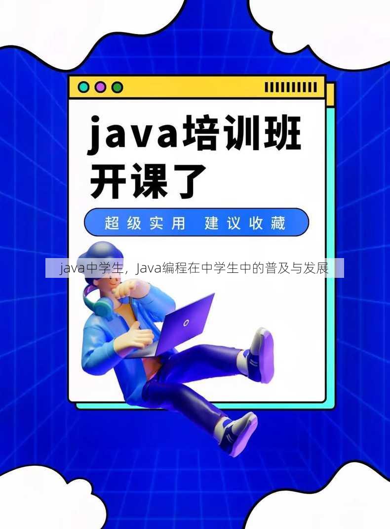 java中学生