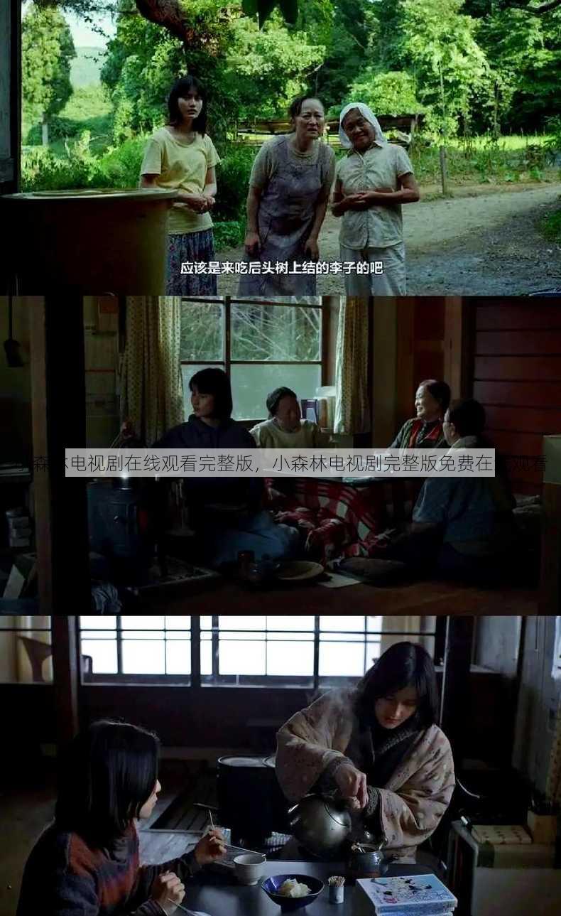 小森林电视剧在线观看完整版