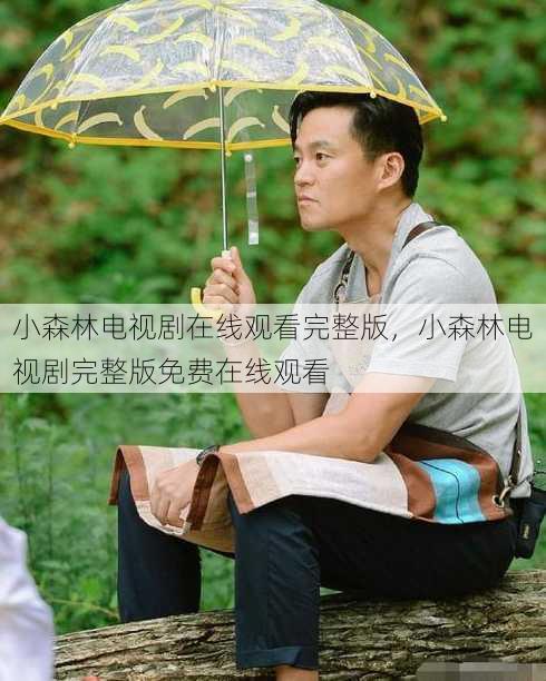小森林电视剧在线观看完整版，小森林电视剧完整版免费在线观看