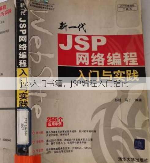 jsp入门书籍