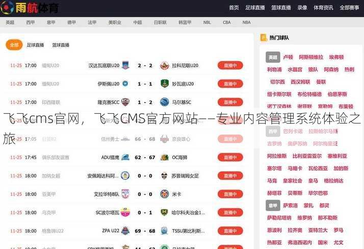 飞飞cms官网，飞飞CMS官方网站——专业内容管理系统体验之旅