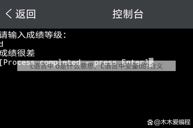 c语言中 d是什么意思