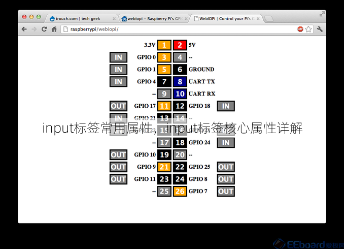 input标签常用属性