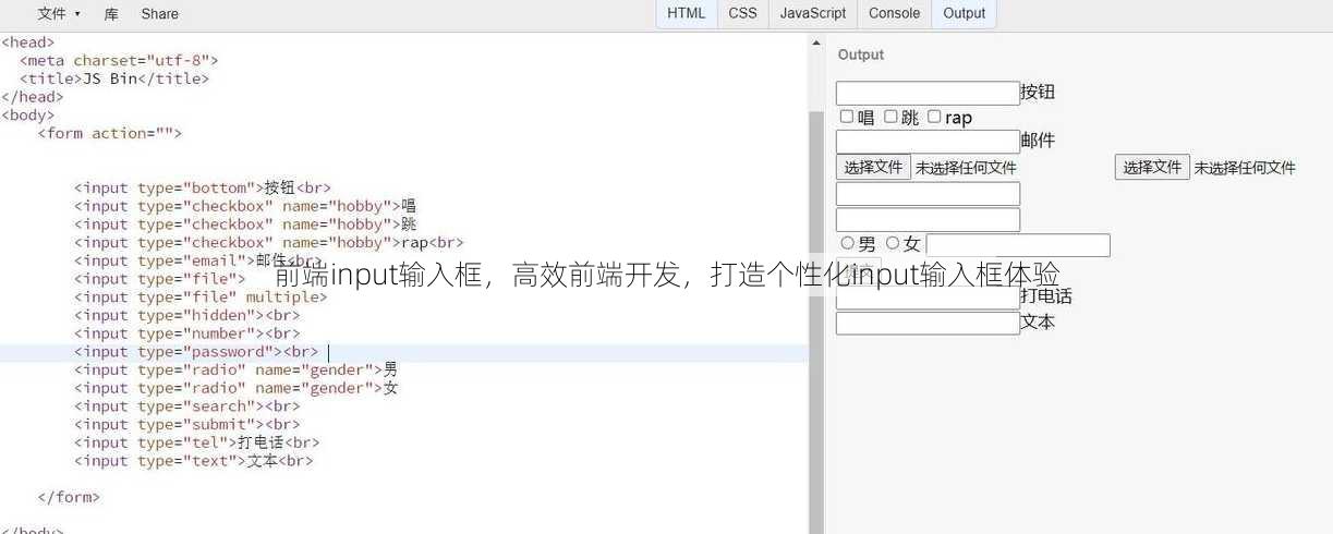 前端input输入框，高效前端开发，打造个性化input输入框体验