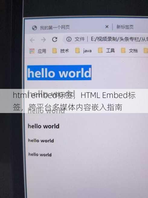 html embed标签