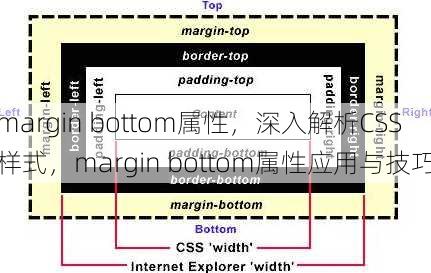 margin bottom属性，深入解析CSS样式，margin bottom属性应用与技巧