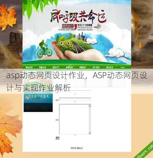 asp动态网页设计作业，ASP动态网页设计与实现作业解析