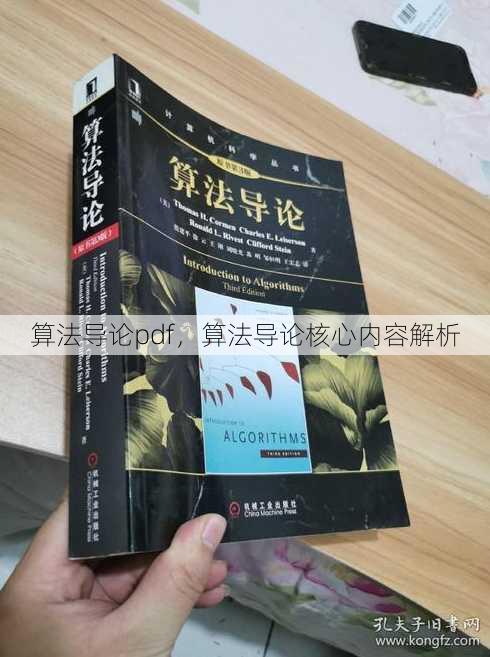 算法导论pdf，算法导论核心内容解析