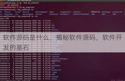 软件源码是什么