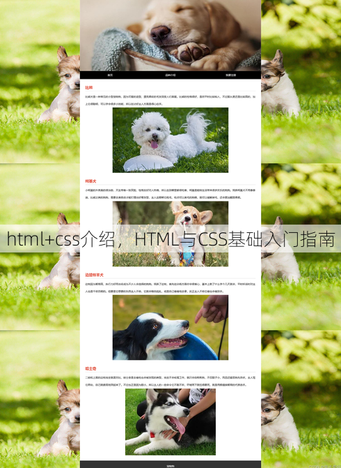 html+css介绍