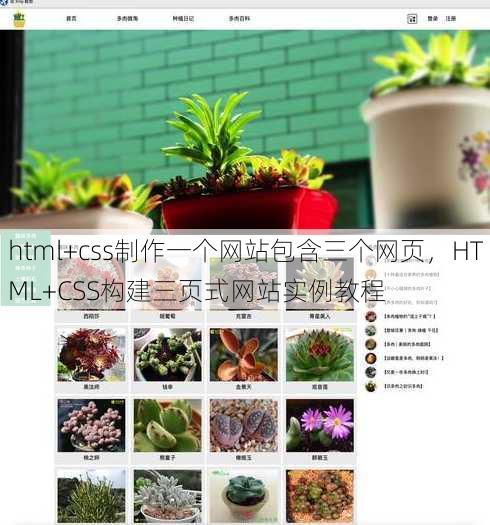 html+css制作一个网站包含三个网页