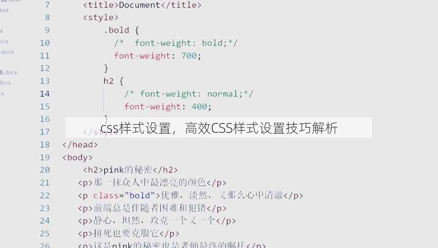 css样式设置，高效CSS样式设置技巧解析
