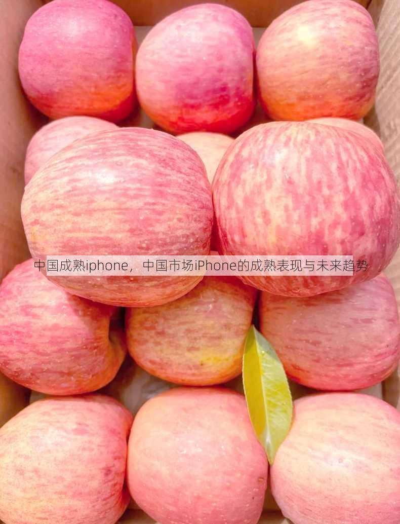 中国成熟iphone