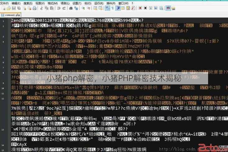 小猪php解密，小猪PHP解密技术揭秘