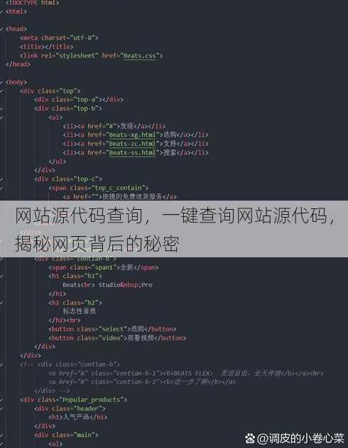网站源代码查询，一键查询网站源代码，揭秘网页背后的秘密