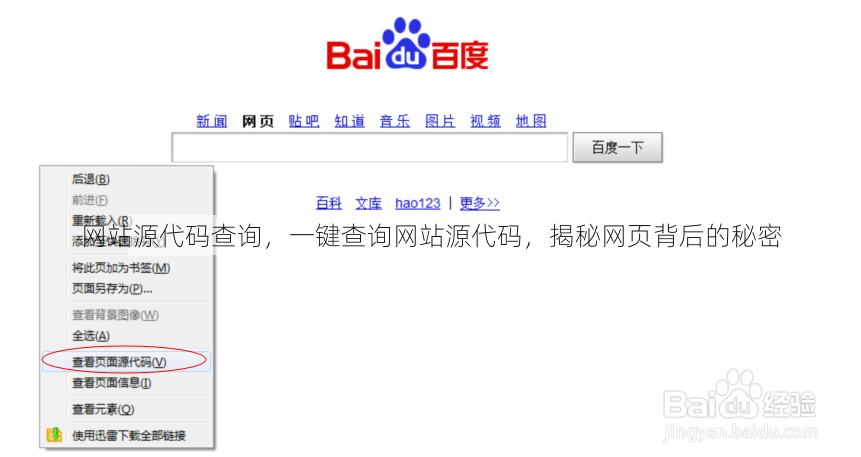 网站源代码查询