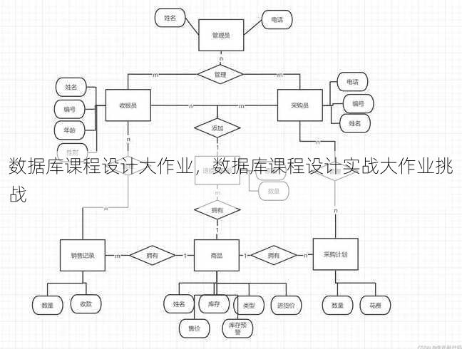 数据库课程设计大作业，数据库课程设计实战大作业挑战