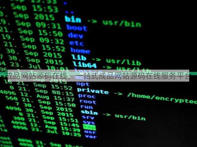 成品网站源码在线