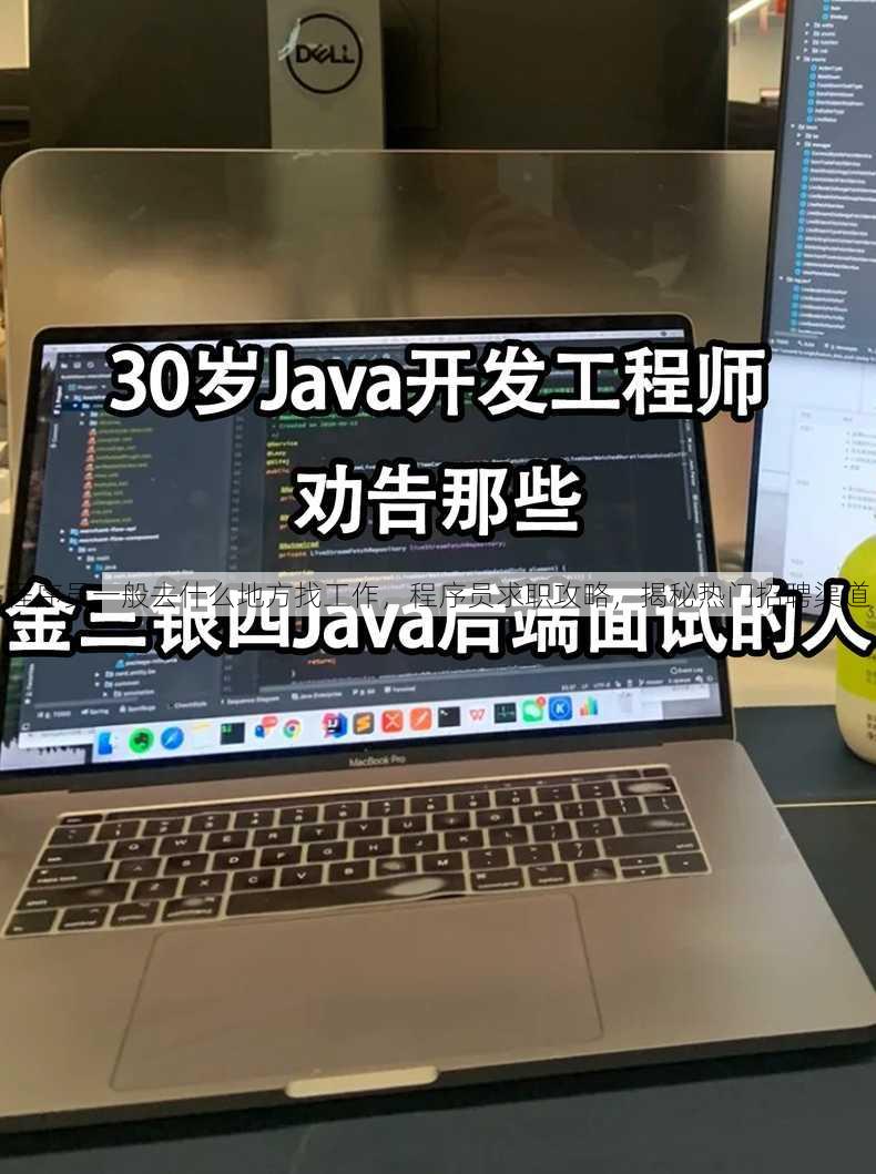 程序员一般去什么地方找工作