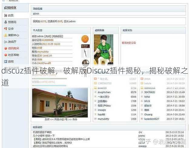 discuz插件破解，破解版Discuz插件揭秘，揭秘破解之道