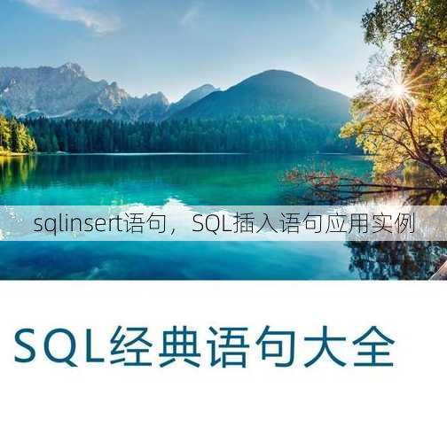 sqlinsert语句