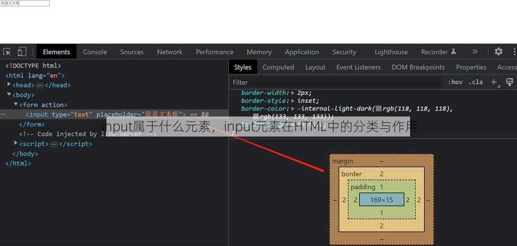 input属于什么元素