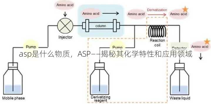asp是什么物质