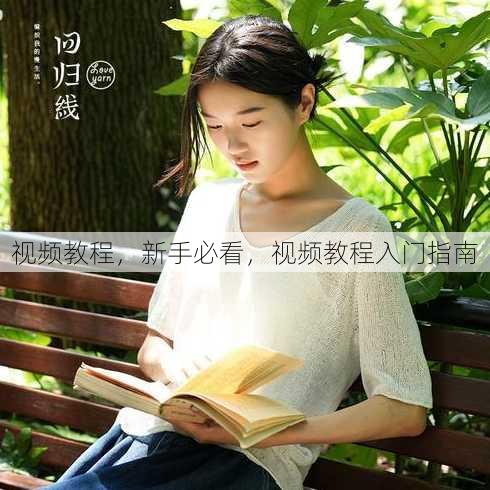 视频教程，新手必看，视频教程入门指南