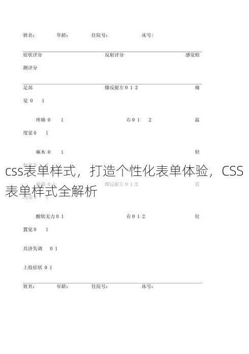 css表单样式，打造个性化表单体验，CSS表单样式全解析