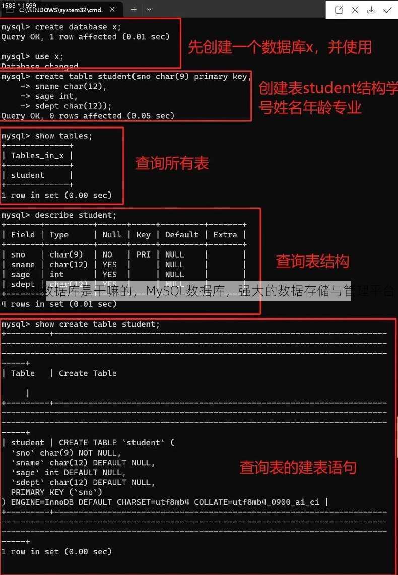 mysql数据库是干嘛的，MySQL数据库，强大的数据存储与管理平台