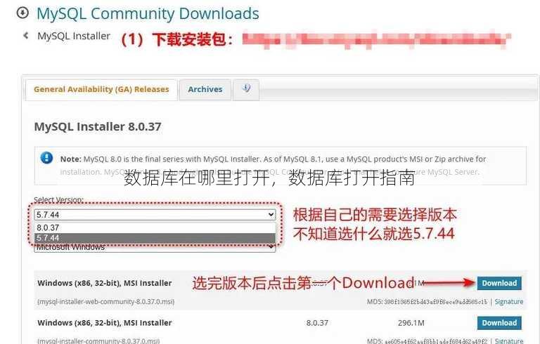 数据库在哪里打开，数据库打开指南