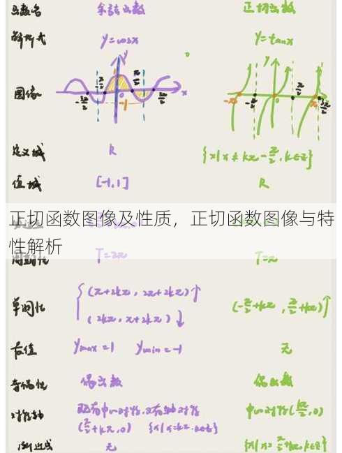 正切函数图像及性质，正切函数图像与特性解析