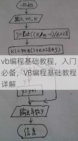 vb编程基础教程，入门必备，VB编程基础教程详解