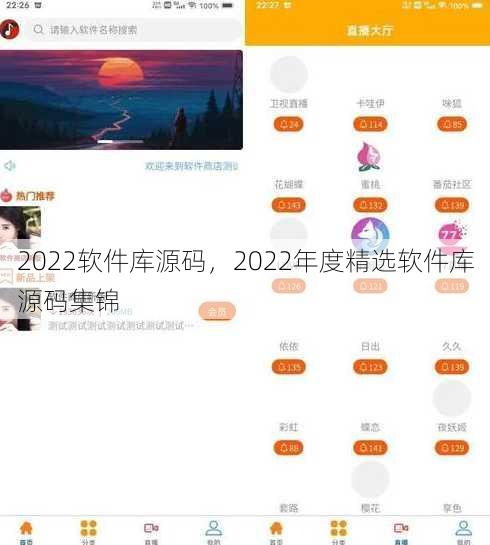 2022软件库源码